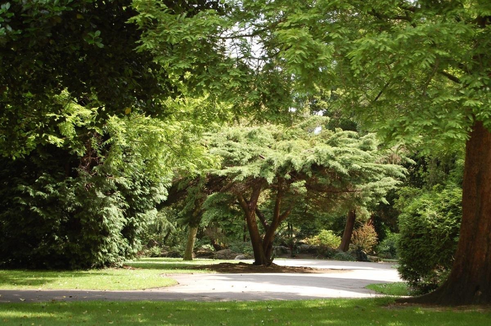 Longford Park